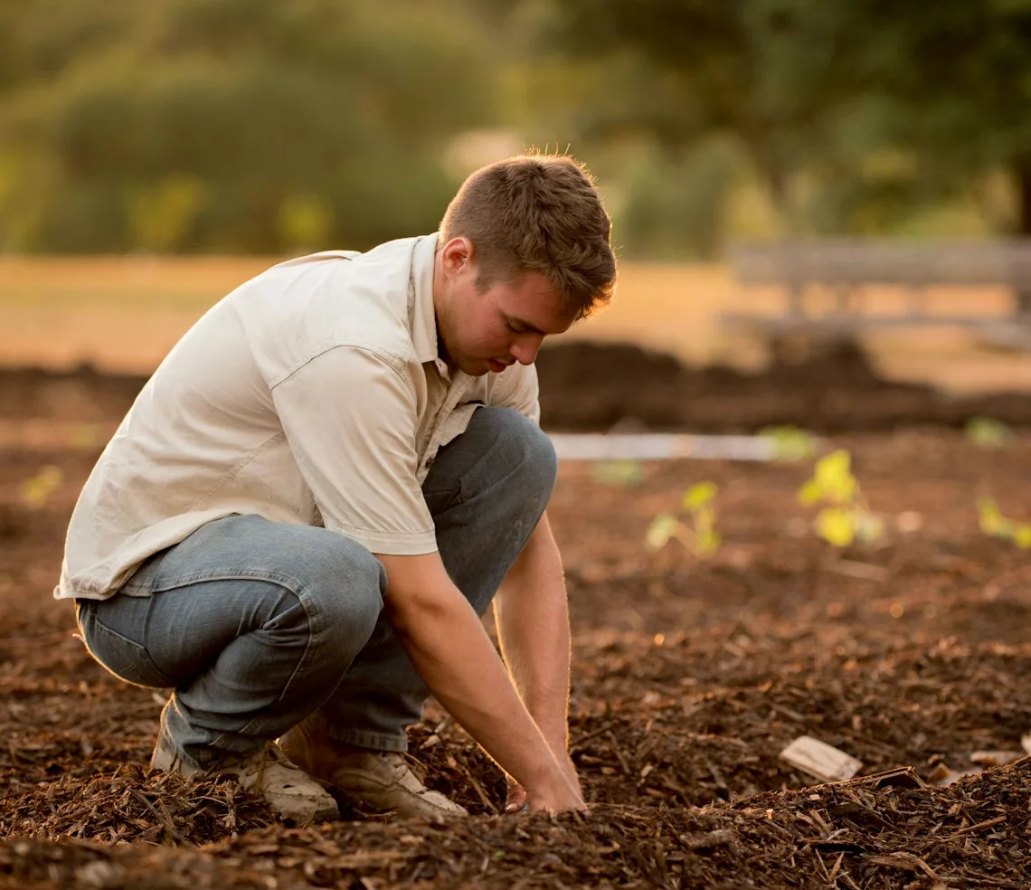 A landscaper planting on a plot