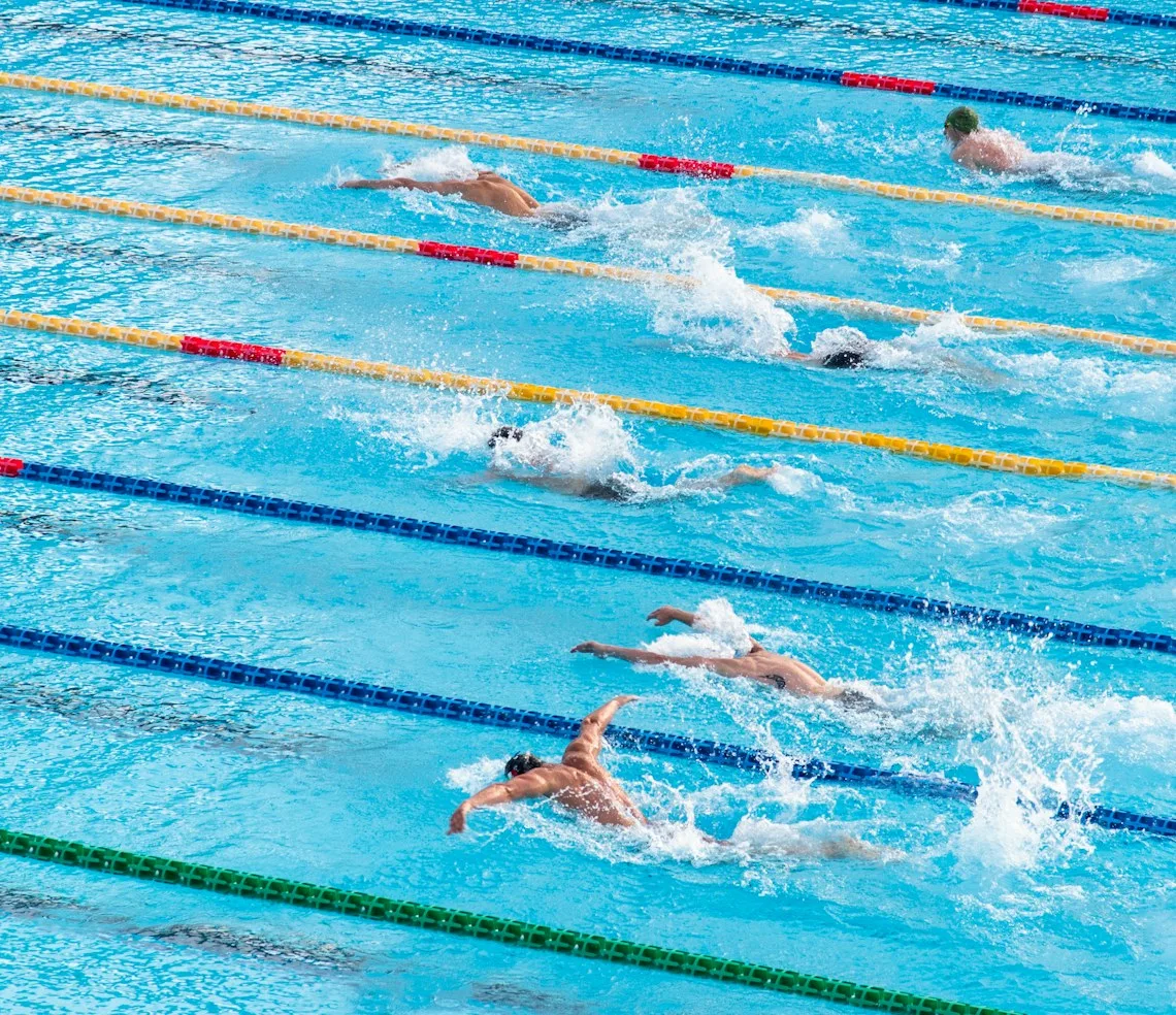 Swimmers training in the lanes of a pool